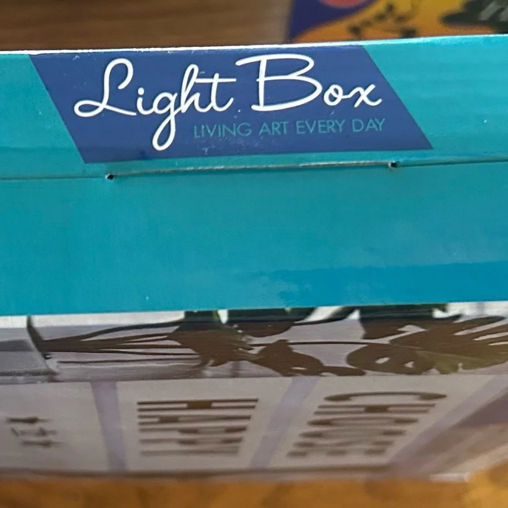 Leisure Arts LED Light Box with Black and White Letters